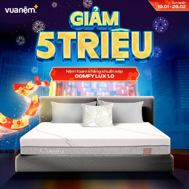 Nệm foam kháng khuẩn kép Comfy Lux 1.0