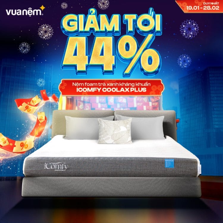  Nệm foam trà xanh kháng khuẩn iComfy Coolax Plus