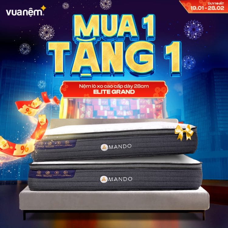 Nệm lò xo cao cấp Amando Elite Grand dày 28cm