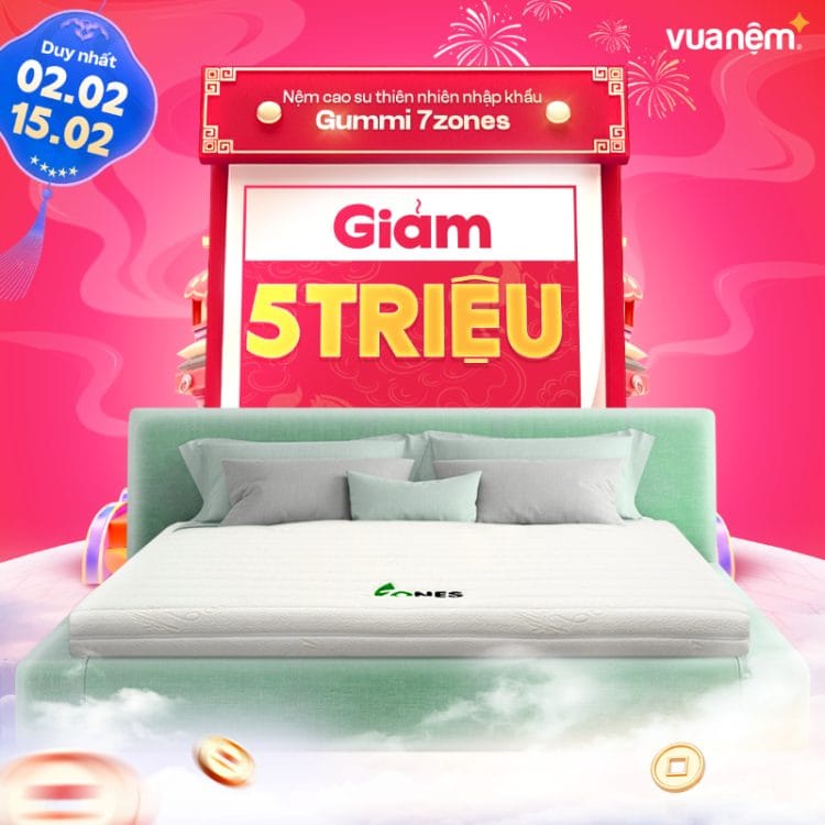 Nệm cao su thiên nhiên nhập khẩu Gummi 7zones