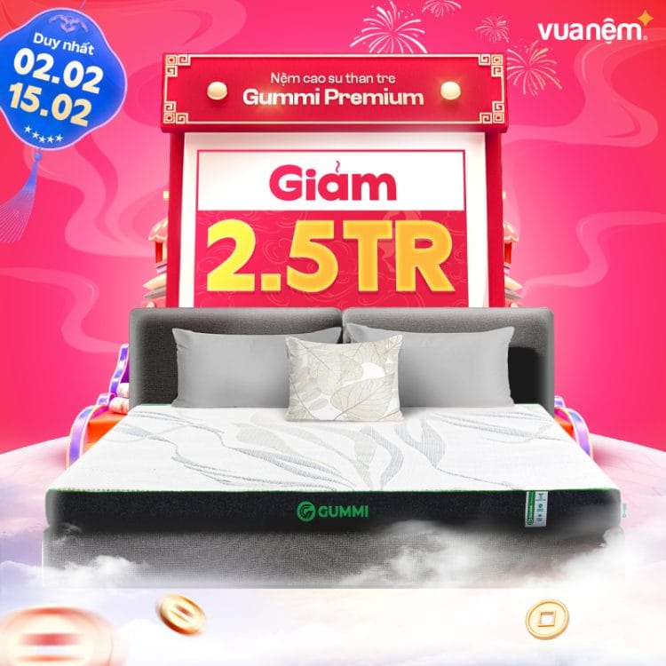 Nệm cao su than tre Gummi Premium