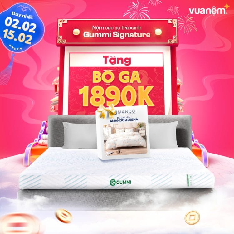 Nệm cao su trà xanh Gummi Signature