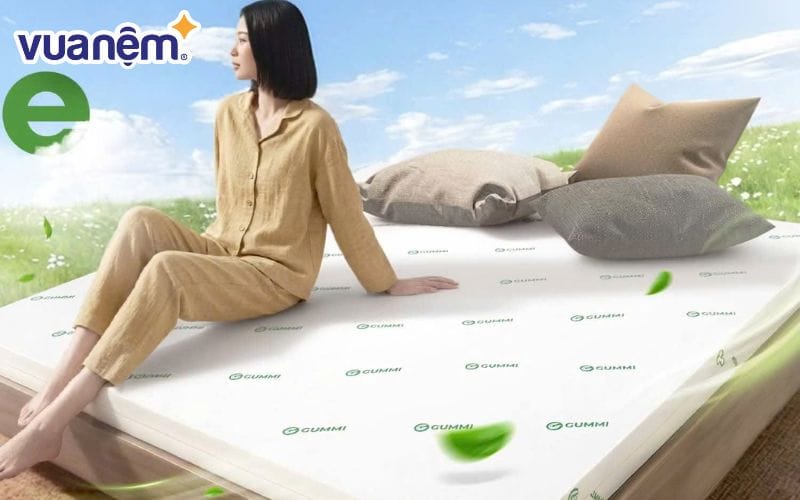 Khi lựa chọn nệm người mua cần phải đánh giá dựa trên nhiều tiêu chí khác nhau