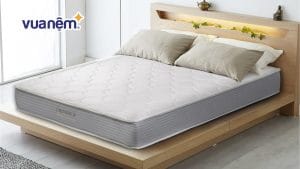 Cập nhật mới bảng giá nệm 1m6x1m9 trên thị trường năm 2026