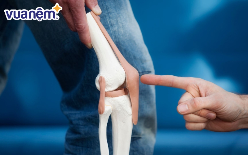 Việc làm vườn thường xuyên sẽ giúp hệ xương chắc khỏe