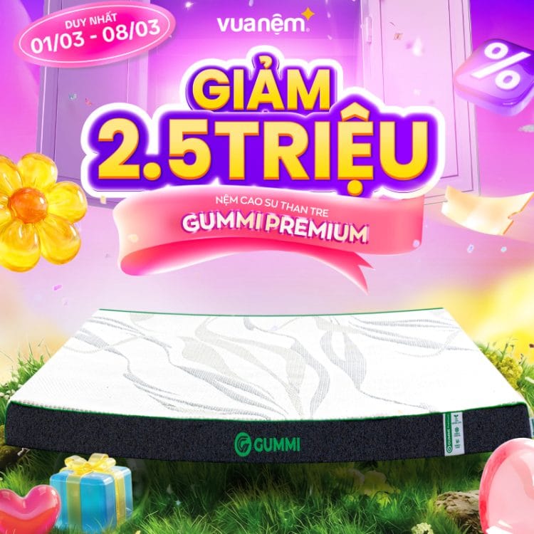 Nệm cao su than tre Gummi Premium