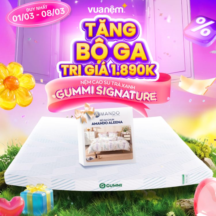 Nệm cao su trà xanh Gummi Signature