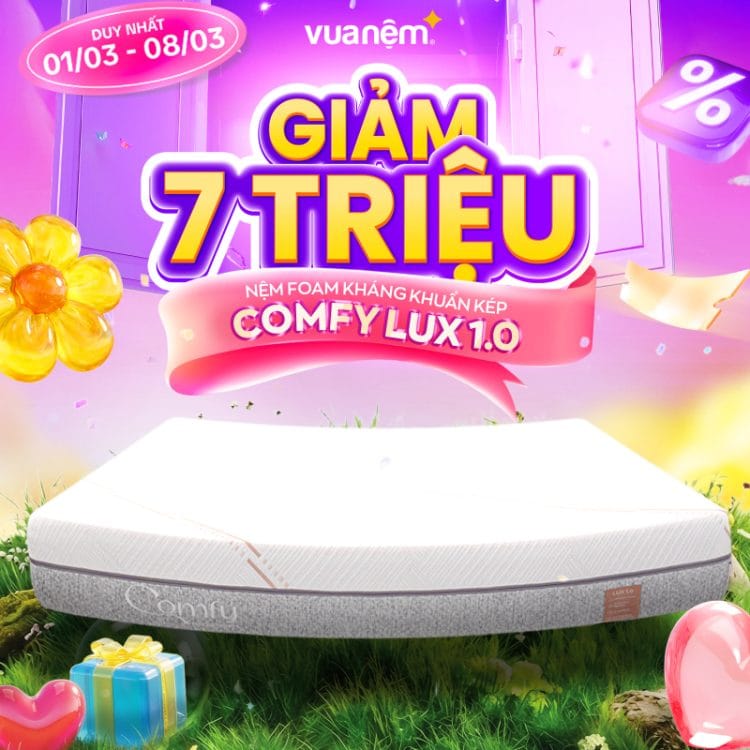 Nệm foam kháng khuẩn kép Comfy Lux 1.0