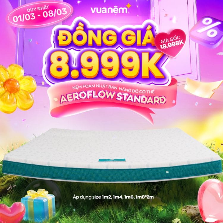 Nệm foam Nhật Bản Aeroflow Standard nâng đỡ cơ thể