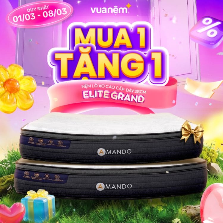 Nệm lò xo cao cấp Amando Elite Grand dày 28cm