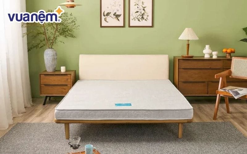 Vua Nệm cung cấp đa dạng mẫu nệm gấp chính hãng