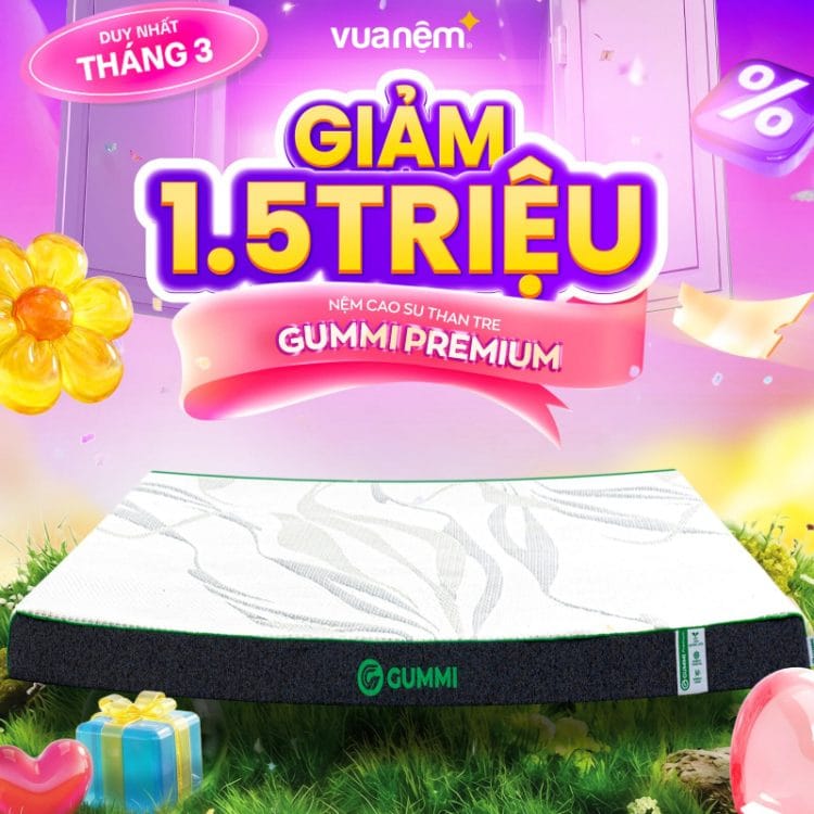 Nệm cao su than tre Gummi Premium