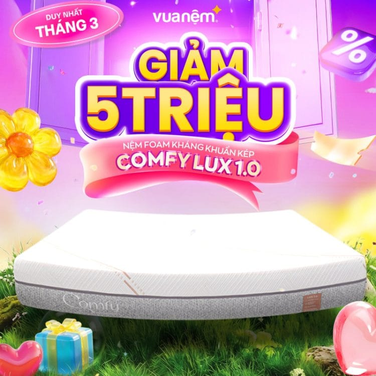 Nệm foam kháng khuẩn kép Comfy Lux 1.0