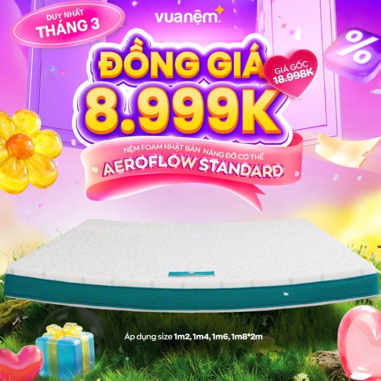 Nệm foam Nhật Bản Aeroflow Standard nâng đỡ cơ thể