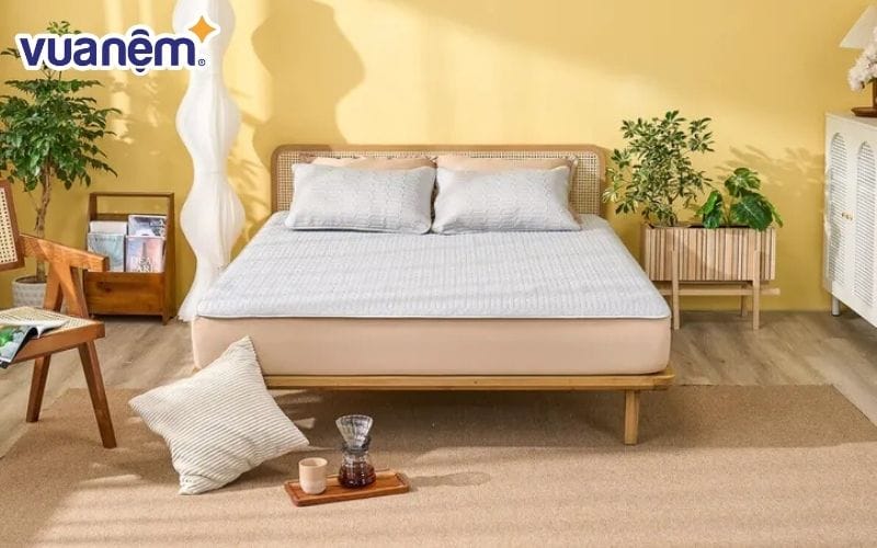 Chiếu điều hoà cao su Doona Aqua