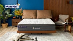 TOP 20+ mẫu decor phòng ngủ 20m2 ấn tượng, chuẩn xu hướng 2026