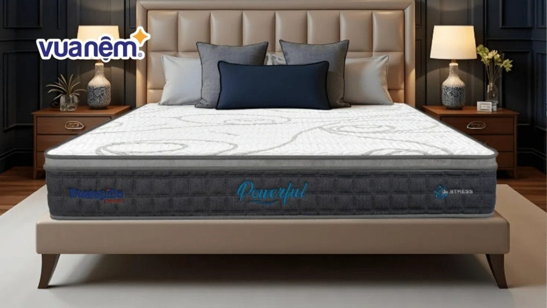 20+ mẫu decor phòng ngủ 25m2 đẹp mắt, độc đáo