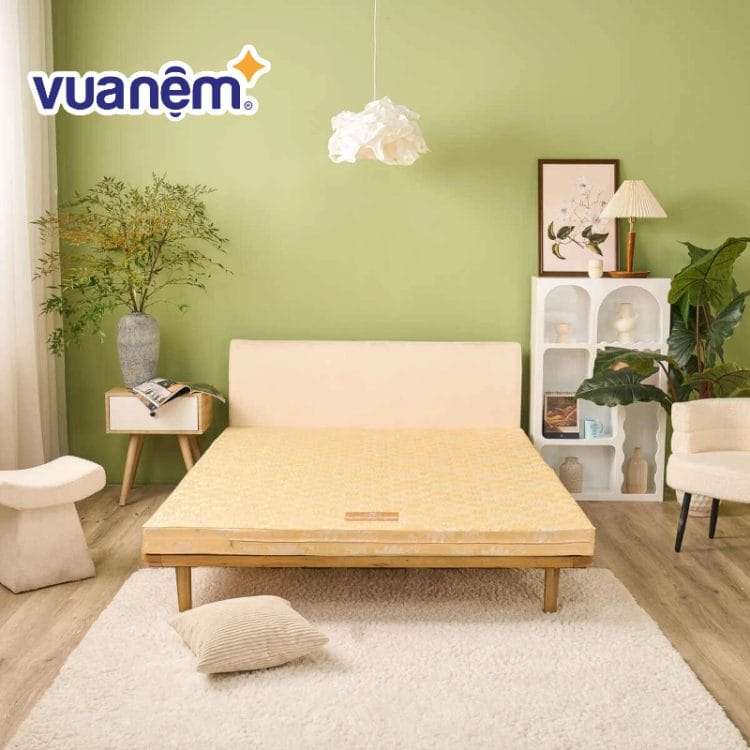 Mẫu đệm gấp cho phòng ngủ 5m2