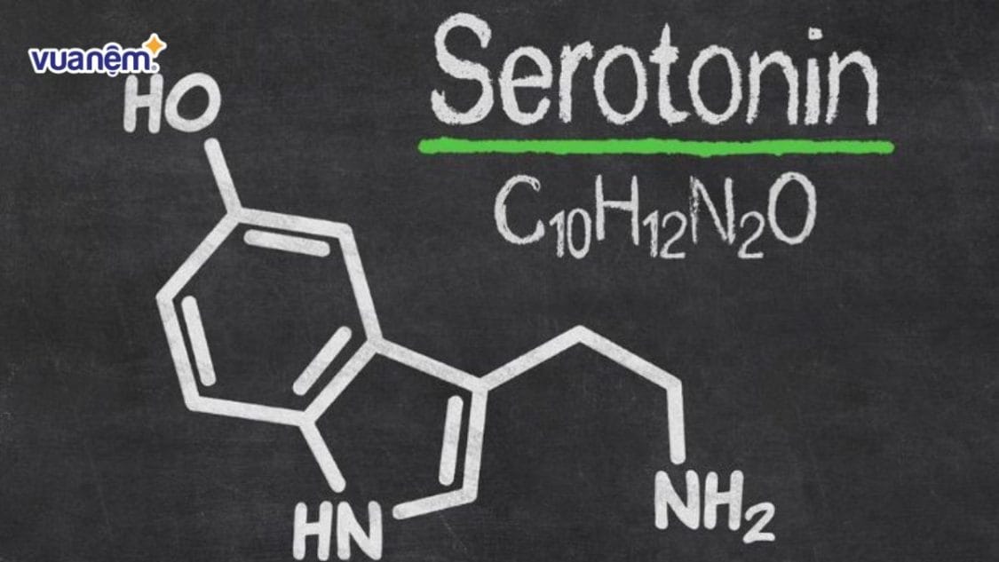 mối quan hệ giữa Serotonin và giấc ngủ ngon