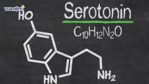 Serotonin và giấc ngủ – Mối liên hệ không thể tách rời