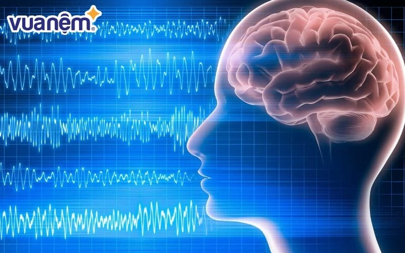 Cơ chế "mô phỏng thực tế ảo" của não bộ