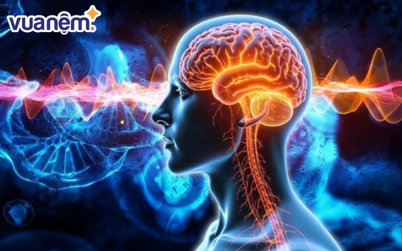 Giải mã dưới góc độ khoa học giấc ngủ về hiện tượng ngủ mơ la hét