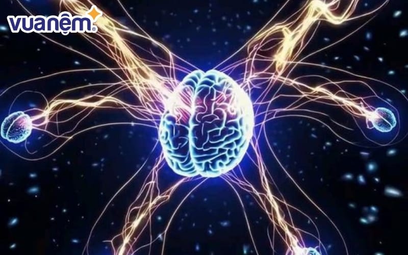 Tại sao bạn mơ thấy giấc mơ kỳ lạ? Góc độ thần kinh học lý giải