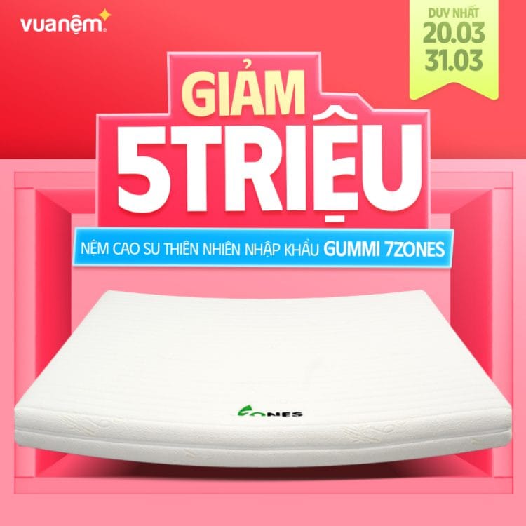Nệm cao su thiên nhiên nhập khẩu Gummi 7zones