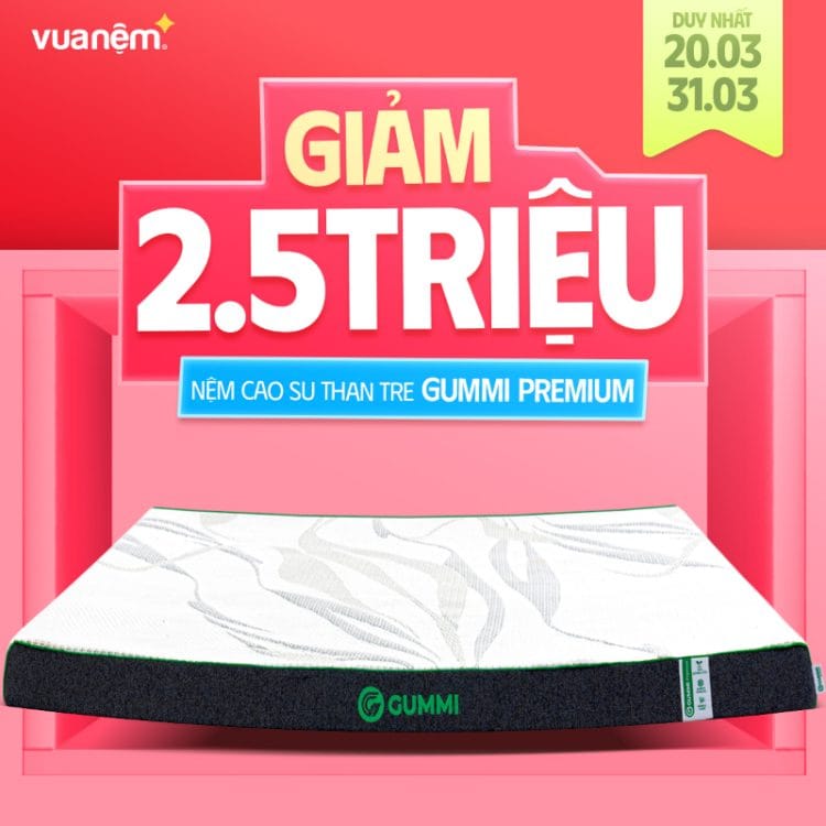Nệm cao su than tre Gummi Premium