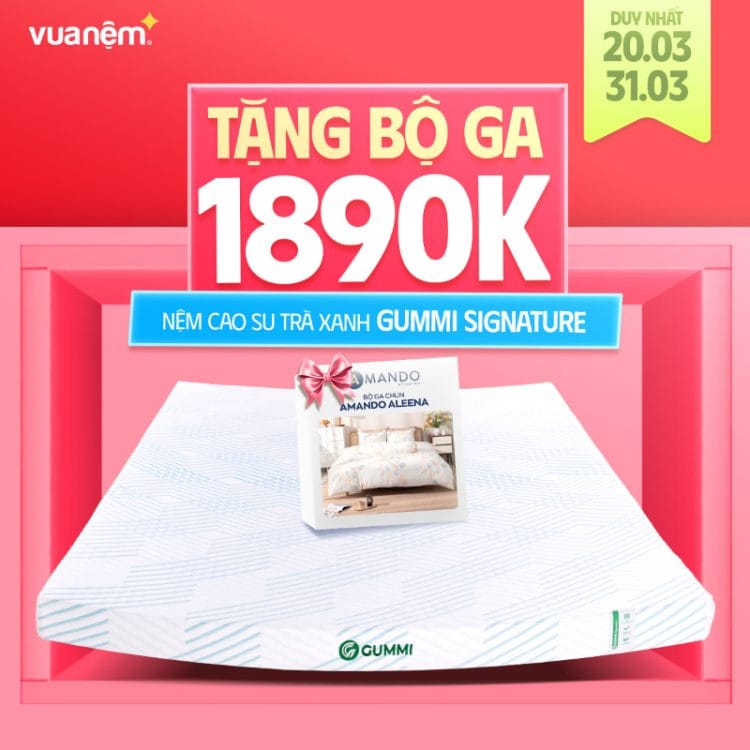 Nệm cao su trà xanh Gummi Signature