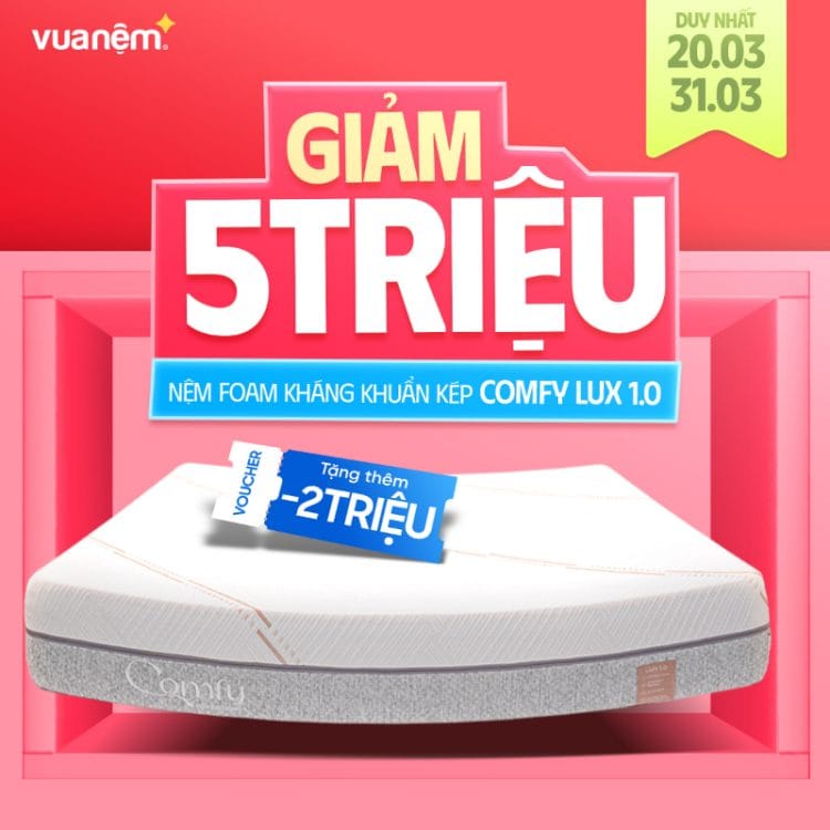 Nệm foam kháng khuẩn kép Comfy Lux 1.0