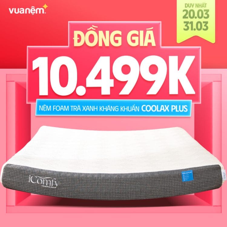 Nệm foam trà xanh kháng khuẩn iComfy Coolax Plus