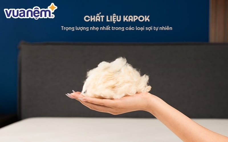 Sợi Kapok sở hữu trọng lượng siêu nhẹ