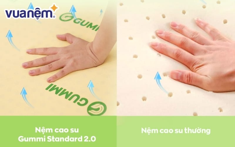 Độ đàn hồi vượt trội và khả năng cách ly chuyển động