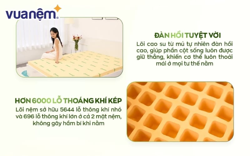 tiktoker review nem gummi standard 20 8