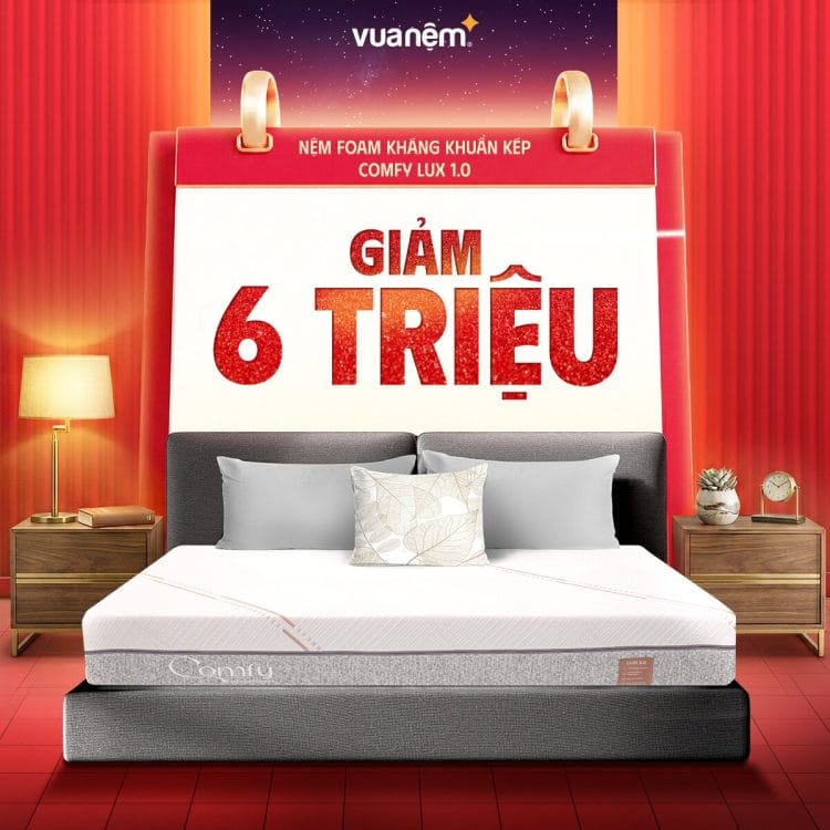 Nệm foam kháng khuẩn kép Comfy Lux 1.0