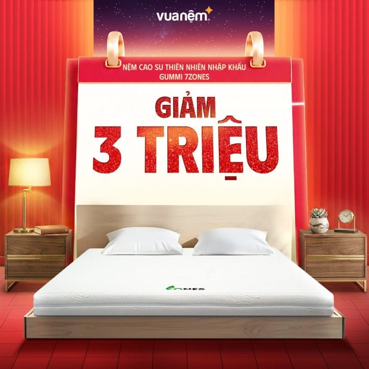 Nệm cao su thiên nhiên nhập khẩu Gummi 7zones