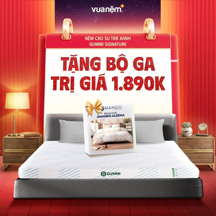 Nệm cao su trà xanh Gummi Signature