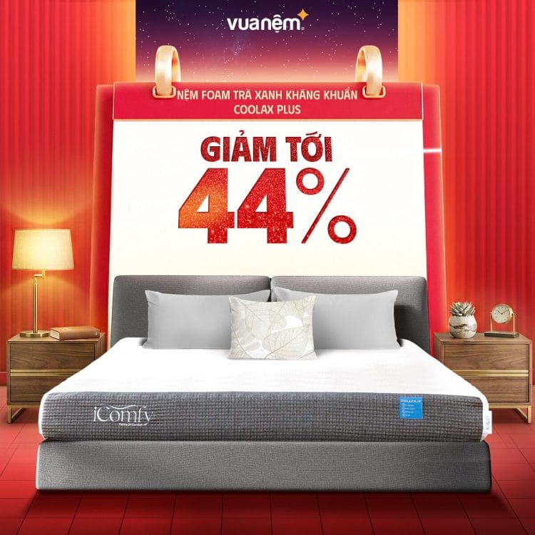 Nệm foam trà xanh kháng khuẩn iComfy Coolax Plus