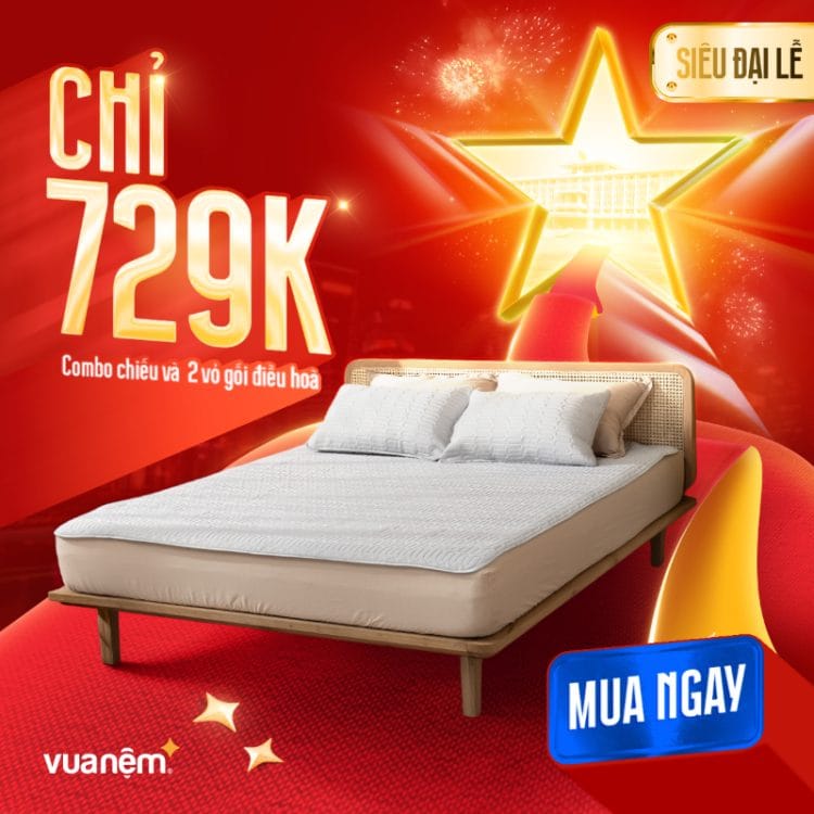 Combo chiếu và 2 vỏ gối điều hoà