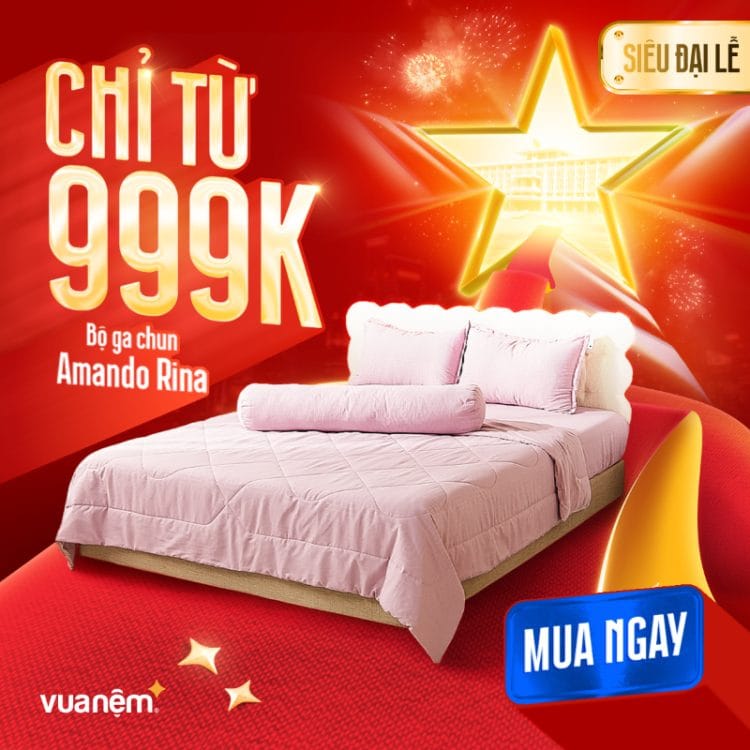 Bộ ga chun Amando Rina