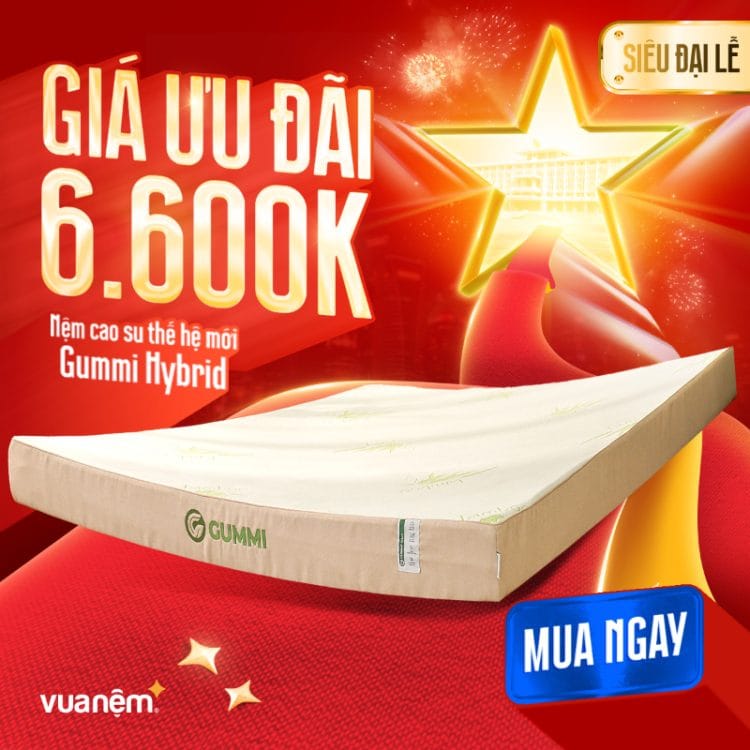 Nệm cao su thế hệ mới Gummi Hybrid