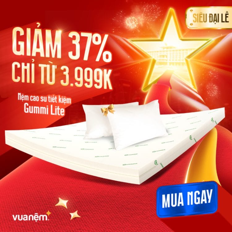 Nệm cao su tiết kiệm Gummi Lite