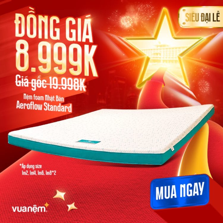 Nệm foam Nhật Bản Aeroflow Standard