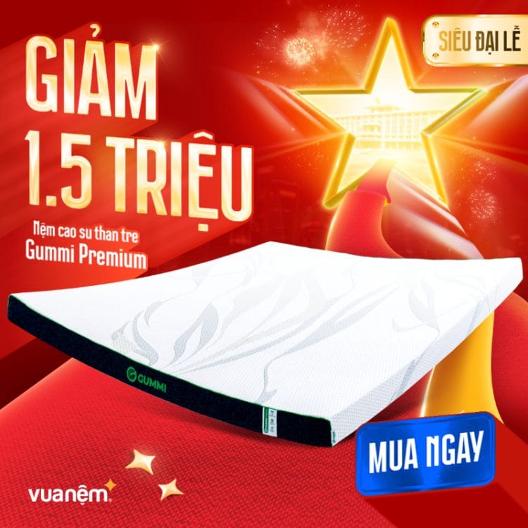 Nệm cao su than tre Gummi Premium