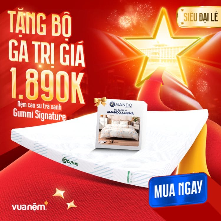 Nệm cao su trà xanh Gummi Signature