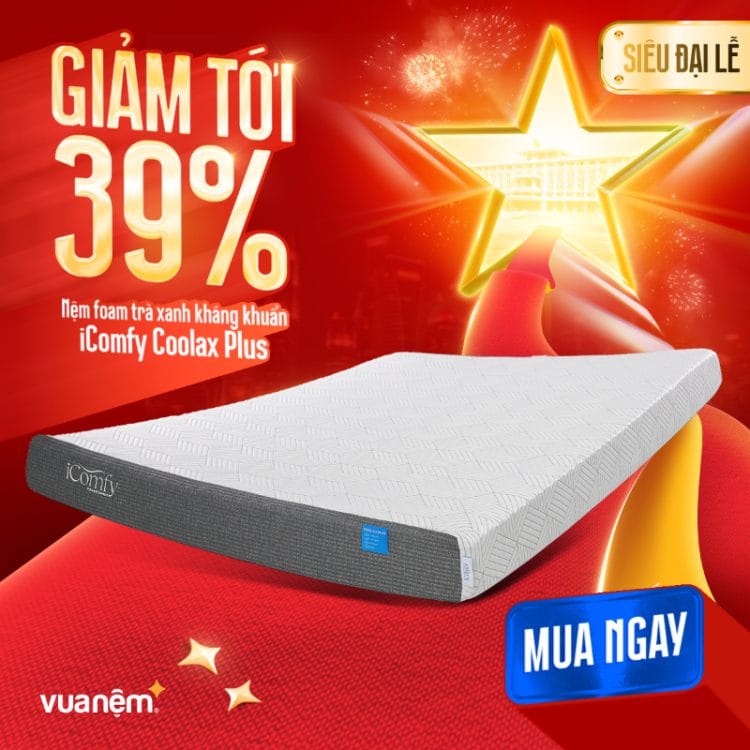Nệm foam trà xanh kháng khuẩn iComfy Coolax Plus