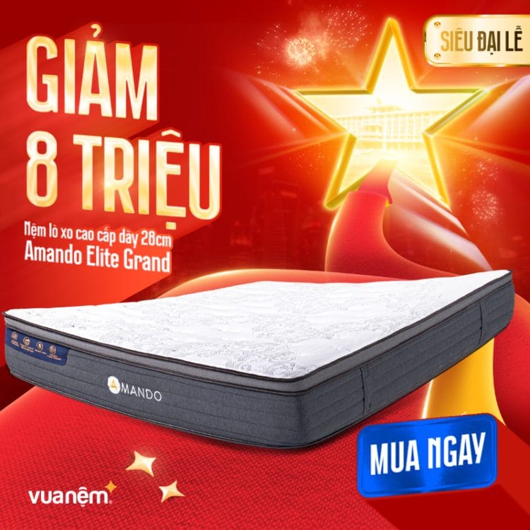 Nệm lò xo cao cấp Amando Elite Grand dày 28cm