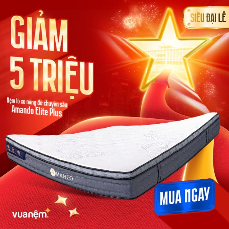 Nệm lò xo nâng đỡ Amando Elite Plus