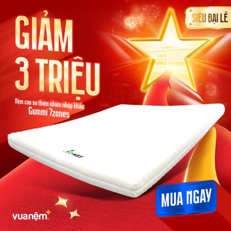 Nệm cao su thiên nhiên nhập khẩu Gummi 7zones